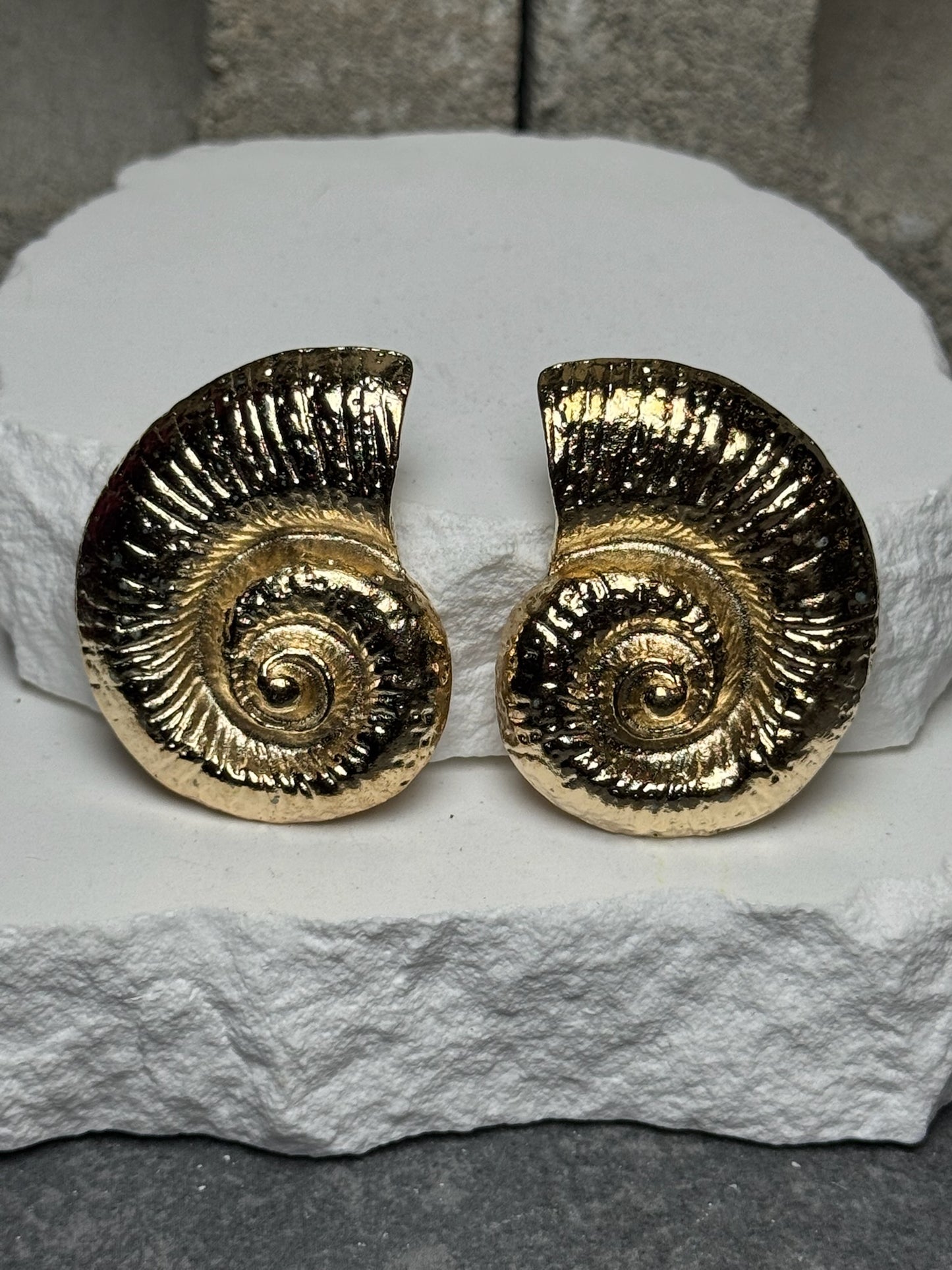 Beach Club Shell Stud Earrings