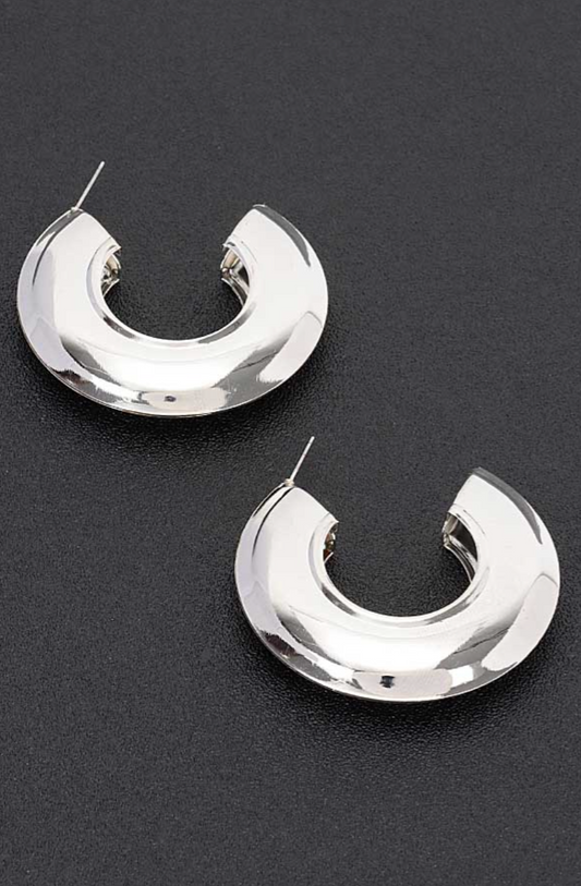 Curved Elegance Earrings