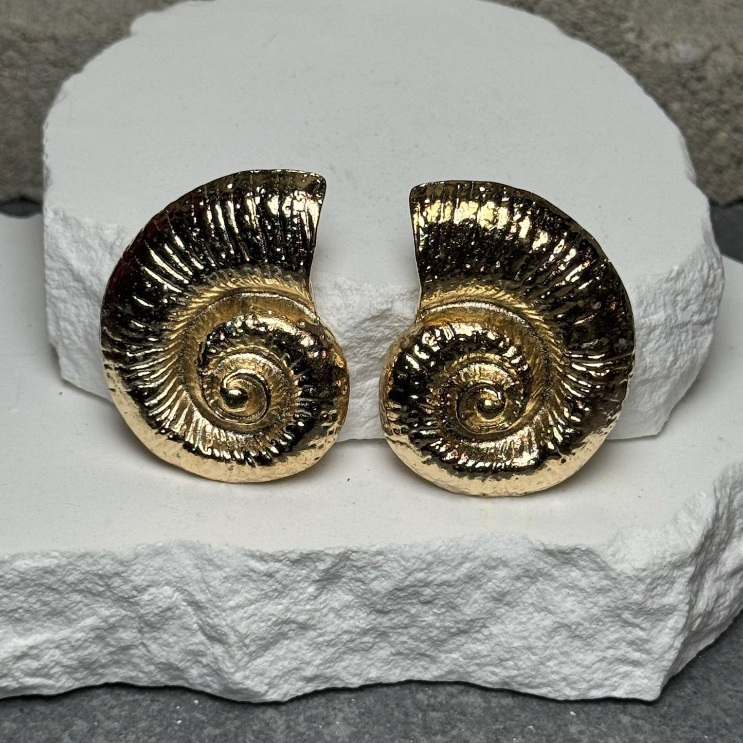 Beach Club Shell Stud Earrings