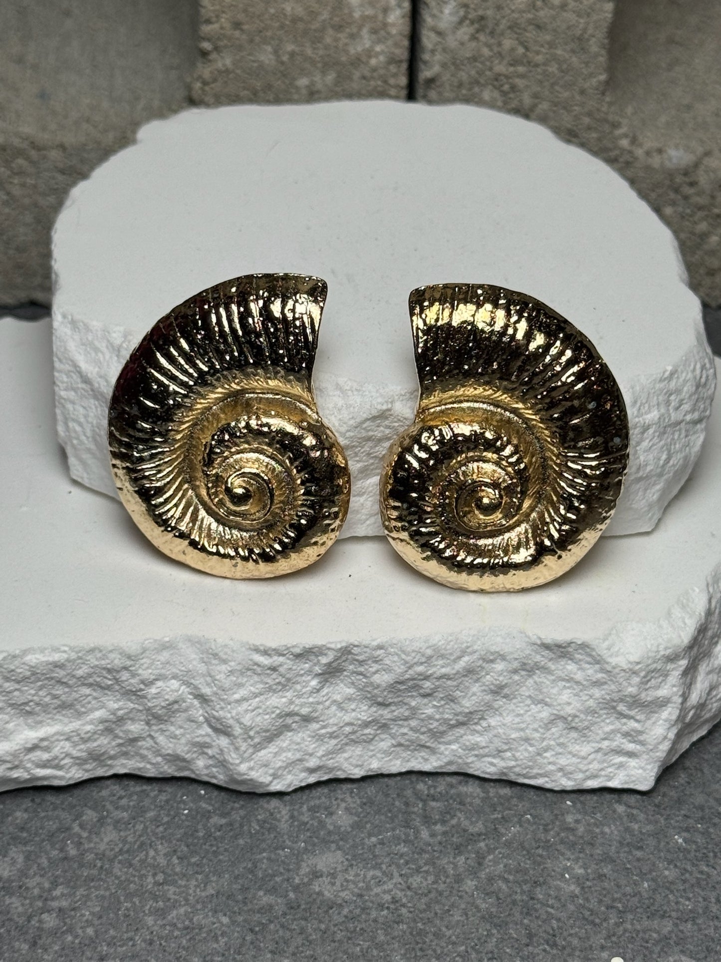 Beach Club Shell Stud Earrings