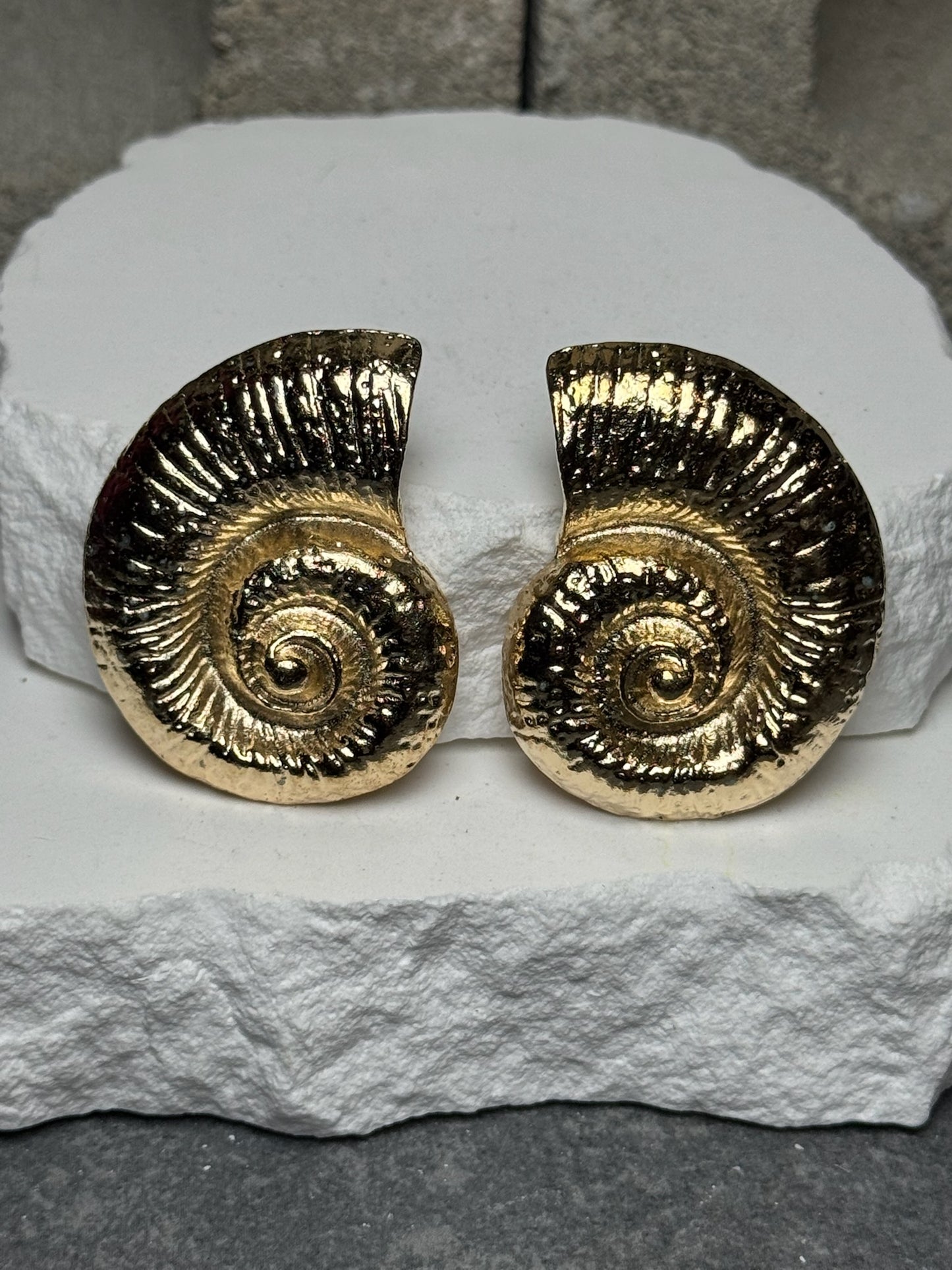 Beach Club Shell Stud Earrings