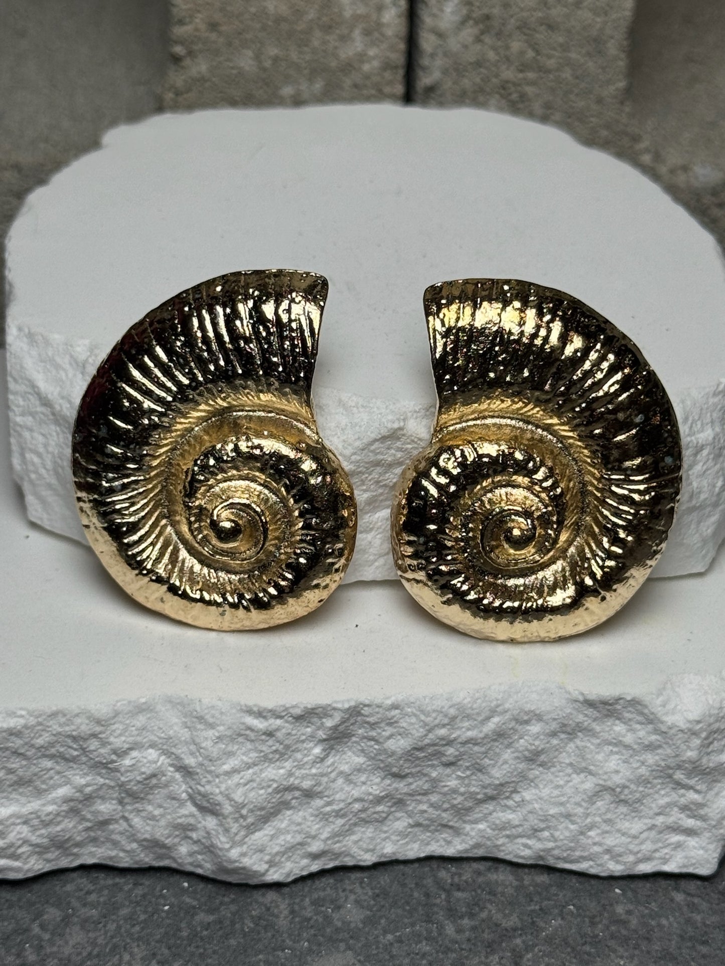 Beach Club Shell Stud Earrings